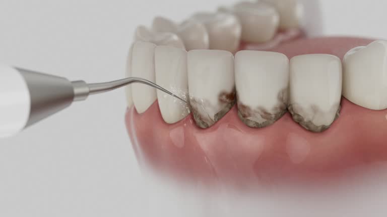 Reliable Dental contractor in Wolverine Lake, MI by Dentist Open Now
